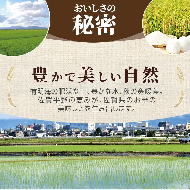 さがびより 無洗米 佐賀県産 特A さがびより【計18kg(3kg×6回)】【定期便6回】