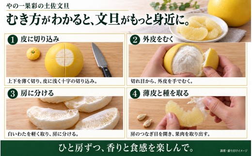 土佐文旦 訳あり 7kg 家庭用 サイズおまかせ M～4L 日本ギフト大賞受賞 文旦発祥の地 園主こだわり 規格外 不揃い 大玉 小玉 高知県土佐市産 高知県産 国産 7キロ ぶんたん みかん 柑橘類