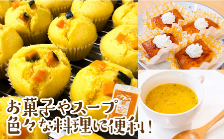 【ジャパン・フード・セレクション グランプリ受賞！】飯舘村名物 いいたて雪っ娘 かぼちゃペースト 2kg ITTAB005