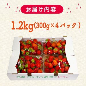 植物系有機肥料のいちご 瑠璃の宝箱 訳あり 計1.2kg(300g×4P)《2026年2月-5月発送》 先行受付 【いちご】
