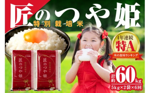 【令和７年産】【定期便】特別栽培米「匠のつや姫」（10kg×6回コース） 【058_1858】