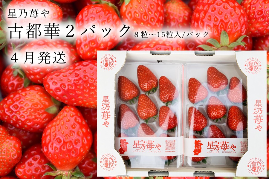 
                  【先行予約】【古都華】2パック 2026年4月発送 // /苺 いちご イチゴ 古都華 奈良 奈良県 広陵町 生産者直送 直送 厳選 数量限定 旬 フルーツ 甘い 完熟 果物
                