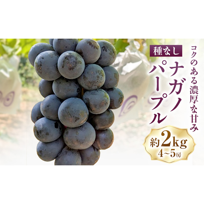 ナガノパープル約2kg(4～5房) ぶどう 葡萄 種なし 果物 上田市