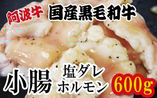 ホルモン 小腸 阿波牛 塩漬け 200g×3パック 小分け 計600g  国産 牛 黒毛和牛 鍋 焼肉 脂 焼き ホソ もつ 肉 牛肉 BBQ 【北海道・東北・沖縄・離島への配送不可】