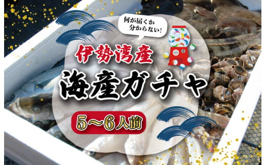 
J33 伊勢湾直送!!なにが届くかな！？明和の海産ガチャ！5～6人前
