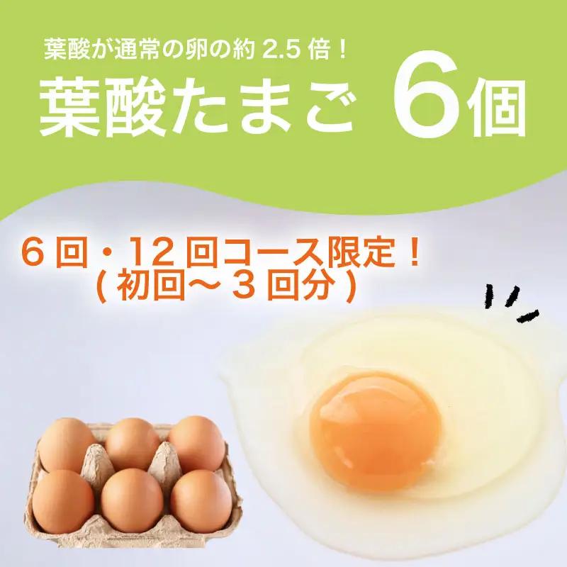 【定期便6回】京野菜セット 4~6種  定期便 レギュラーコース 野菜定期便