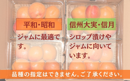 【2026年先行予約】訳あり あんず おまかせ加工用(平和・昭和・信州大実・信月のいずれか) 計約4kg(約2kg×2パック)  