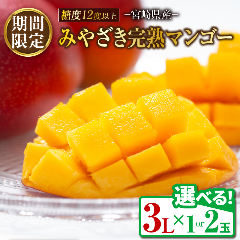 ≪玉数が選べる≫ みやざき 完熟マンゴー 3Lサイズ 期間限定 数量限定 1玉 2玉 マンゴー 宮崎 フルーツ 果物 くだもの 国産 食品 先行予約 2026 令和8年発送 濃厚_S-BB145-24