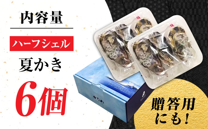 広島牡蠣の老舗！安心・安全の新鮮牡蠣【生牡蠣】牡蠣 かき 殻付き 開殻 夏のかき ハーフシェル『かき小町』6個入 生食用 魚介類 海鮮 広島県産 江田島市/株式会社かなわ [XBP011]