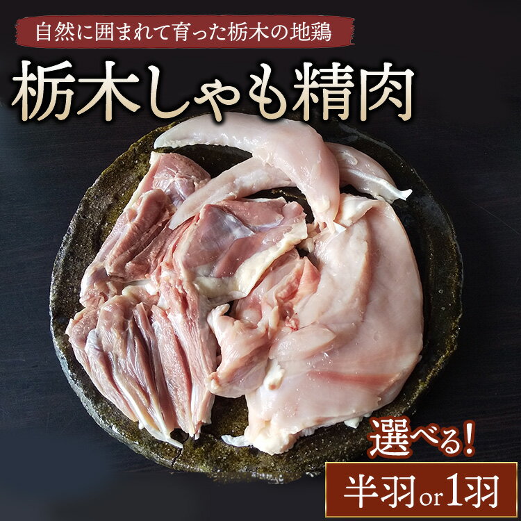 【ふるさと納税】【選べる内容】栃木しゃも精肉　半羽・1羽　※離島への配送不可