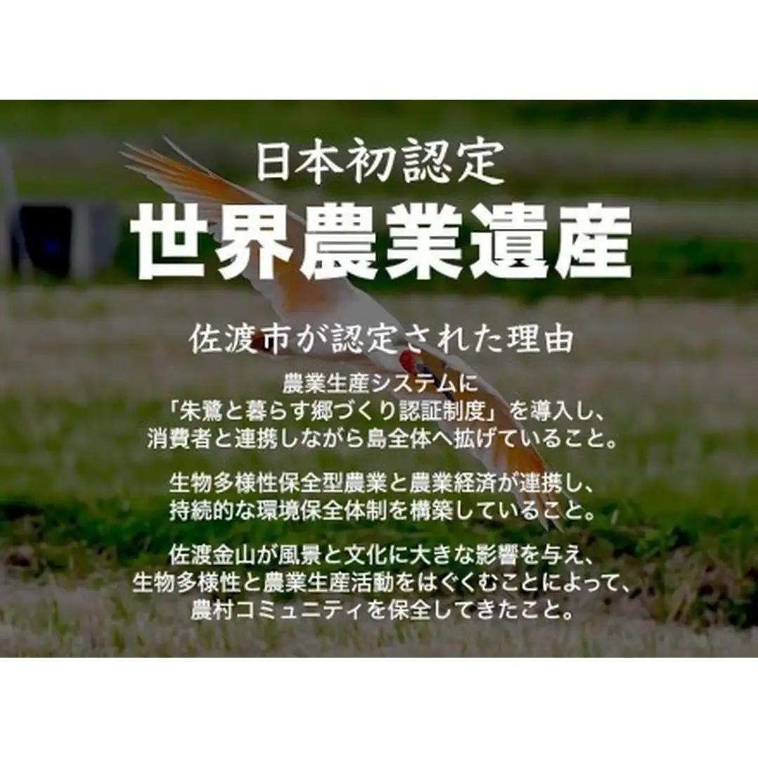 コシヒカリ 精米 5kg | 新潟県 佐渡市 コシヒカリ
