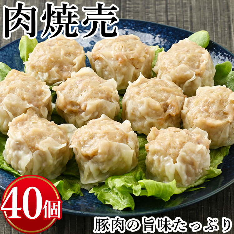 【ふるさと納税】肉焼売　計40個(10個入り×4) ｜栃木県 宇都宮市 しゅうまい シュウマイ 肉 国産豚肉 肉加工品 国産野菜 冷凍食品 簡単 絶品 おかず 弁当 惣菜 おつまみ 電子レンジ 調理 ギフト おすすめ 送料無料