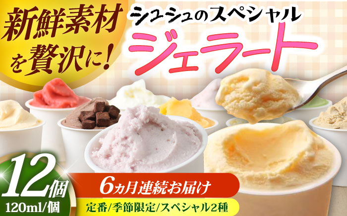 
            【6回定期便】シュシュのスペシャルジェラート12個セット（定番/季節限定/スペシャル2種） / アイス アイスクリーム ジェラート スイーツ /  大村市 / おおむら夢ファームシュシュ [ACAA421]
          