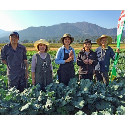 【ふるさと納税】陽光ビオファームの「体が喜ぶ」7種の野菜セット(冬季)【配送不可地域：離島・北海道・沖縄県】【1201506】