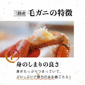 【令和7年発送】三陸産！活毛ガニ 500g×1杯 (1尾) 【2025年2月～4月発送】【配送日指定不可】