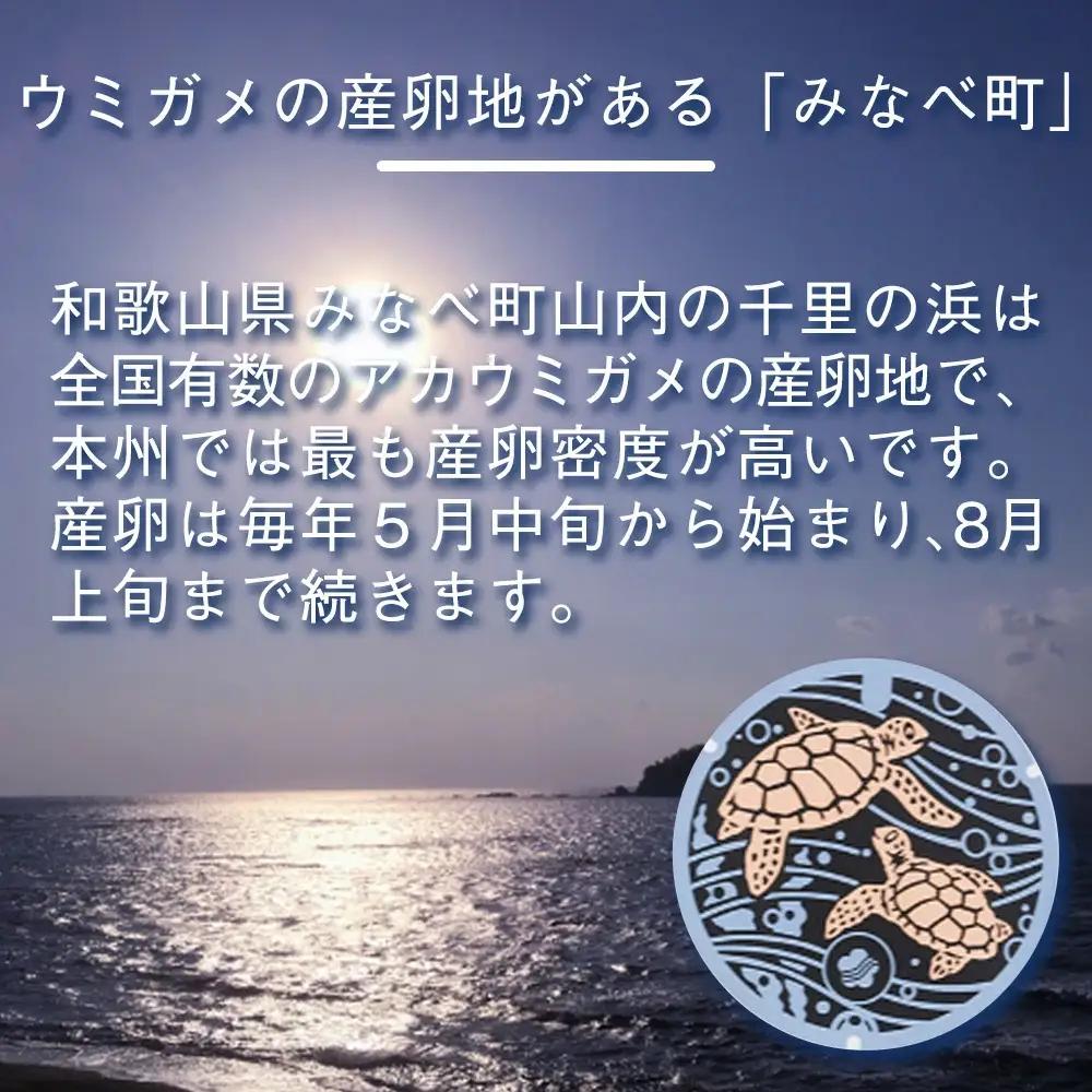 みなべ町 マンホールTシャツ【Mサイズ・白】jpnug002-2A【jpnug002-2A】