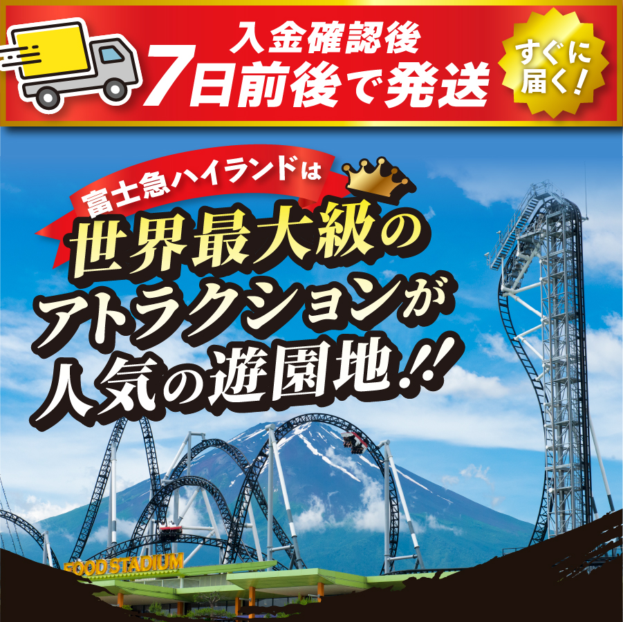 富士吉田市ふるさと納税限定　富士急ハイランドフリーパス　ファミリーチケット3名（大人2名・小人1名）