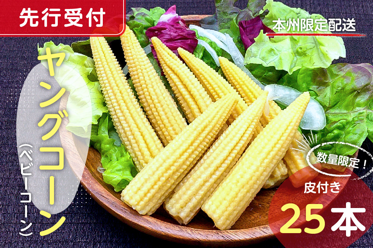 
            【先行受付 2025年6月上旬～7月中旬発送予定】数量限定！ヤングコーン(ベビーコーン）25本 mi0044-0002【とうもろこし 野菜 コーン 新鮮 数量限定】
          