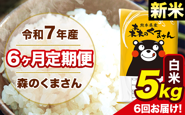 新米 米 令和7年産 森のくまさん【6ヶ月定期便】 白米 5kg 5kg×1袋 計6回お届け 《お申し込み月の翌月から出荷開始》 お米 こめ 熊本県産 ご飯 備蓄
