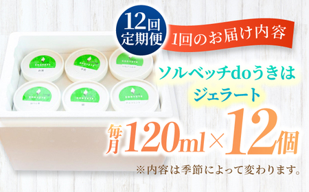 【12回定期便】果樹園が作る 素材の味を楽しめる 旬のジェラート 120ml×12個セット【ソルベッチdoうきは】着色料不使用 ノンホモ牛乳使用 ジェラート アイス 旬 スイーツ 詰め合わせ セット 
