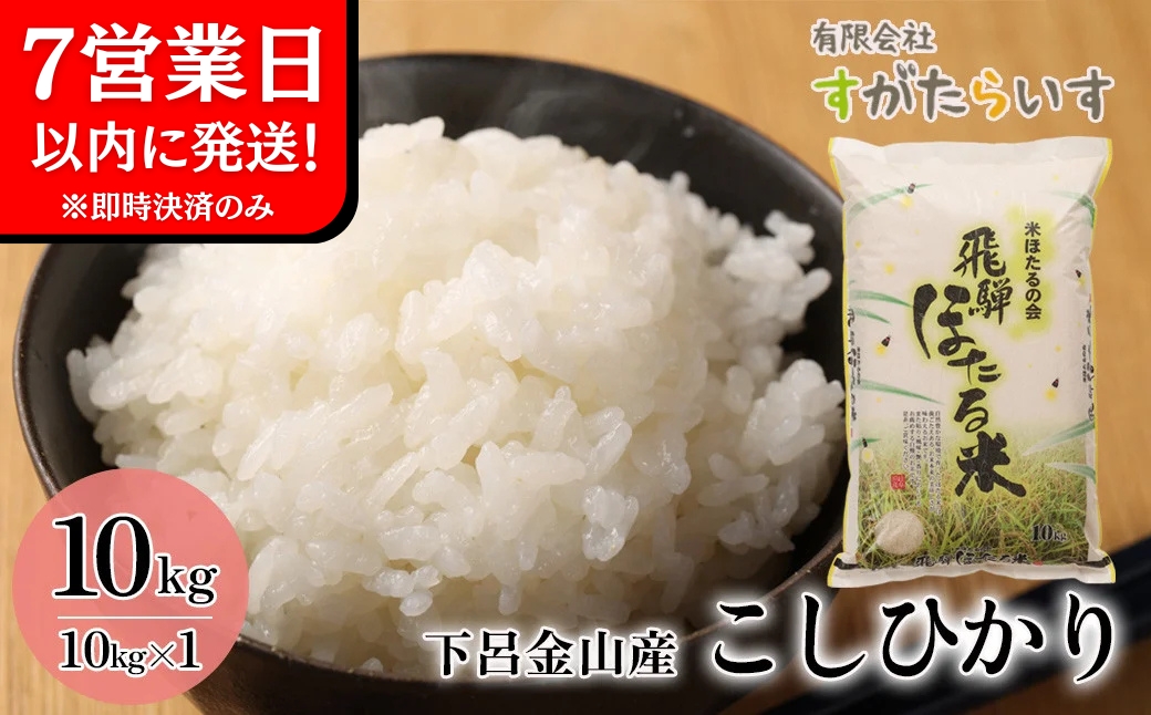 即納【令和7年産米】こしひかり 10kg すがたらいす 2025年産 お米 米 精米 下呂市金山産 コシヒカリ【51-6】
