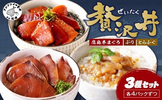 
            鷹島産本まぐろ・とらふぐ・ぶりの贅沢丼 3種セット[各4] ( 本マグロ 大トロ 中トロ 赤身 とらふぐ ブリ お手軽 丼 漬け 茶漬け 時短 )【C4-032】
          