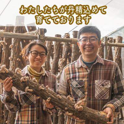ふるさと納税 小田原市 しいたけ味噌　大瓶 260g×3本 |  | 03