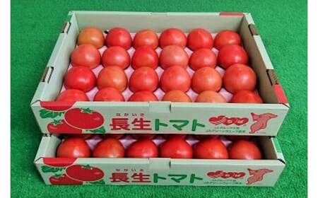 千葉県長生トマト8kg SHK004