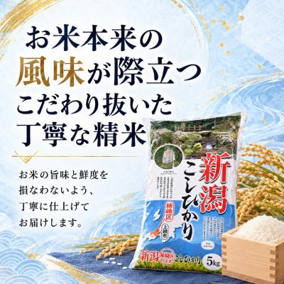 ふるさと納税 上越市 【毎月定期便】《無洗米》【食味鑑定士厳選】新潟県上越産(柿崎)こしひかり10kg(5kg×2)全6回 |  | 01