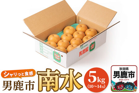 【令和7年度 早期受付】南水 5kg 10玉～14玉 梨 なし ナシ 秋田県 男鹿市 旬の果物 フルーツ