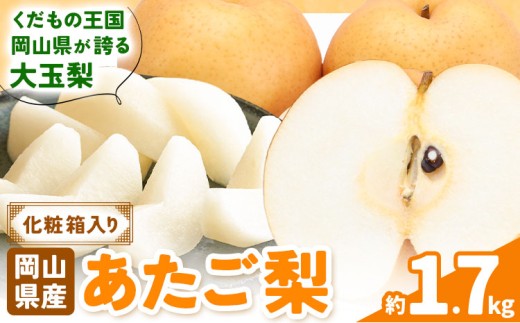 【2026年先行予約】あたご梨 約1.7kg (2玉) 化粧箱入り 株式会社山博《11月下旬-12月下旬頃出荷》岡山県 笠岡市 なし 梨 ナシ 愛宕梨 果物 大玉 岡山県産 国産 送料無料【配送不可地域あり】