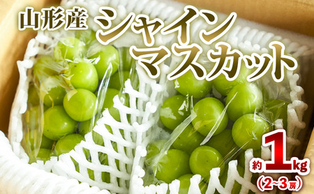 山形産 シャインマスカット 約1kg (2～3房) 秀品 【令和8年産先行予約】FS25-606 くだもの 果物 フルーツ 山形 山形県 山形市 2026年産
