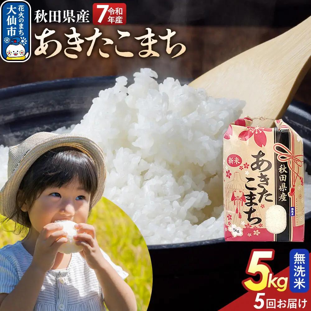 《定期便5ヶ月》【無洗米】あきたこまち 5kg 秋田県産 令和7年産  こまちライン 秋田県 大仙市産