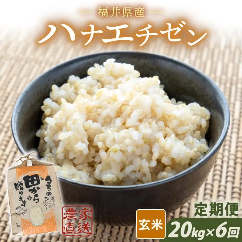 【令和8年産・新米】定期便 ≪6ヶ月連続お届け≫ ハナエチゼン20kg×6回 計120kg （玄米）[O-8914_02]