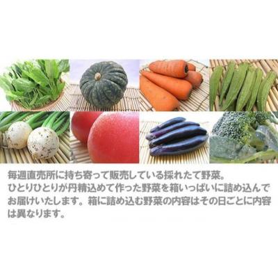ふるさと納税 岩沼市 岩沼みんなの家の「みんなの直売!野菜」セット 8〜10個 詰め合わせ[No.5704-0326] |  | 02