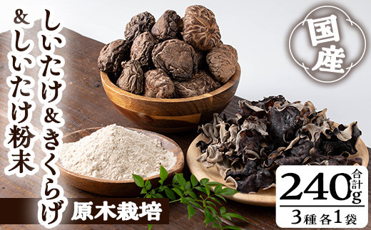 しいたけ＋しいたけ粉末＋きくらげセット(合計240g・3種) しいたけ きのこ キクラゲ【九南サービス(タマチャンショップ)】A503-v01