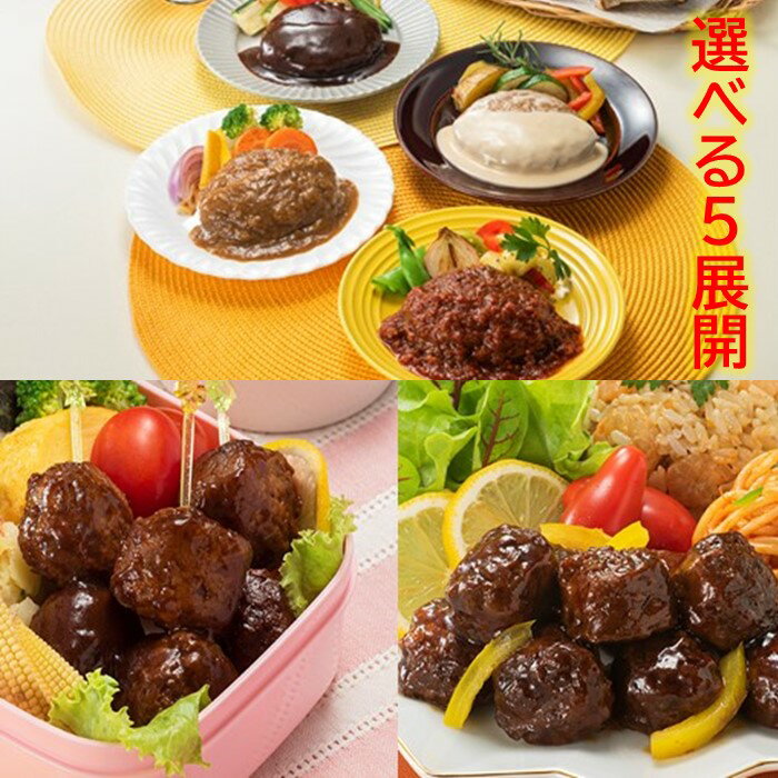 【ふるさと納税】【常温で保管できる！】ハンバーグ・ミートボール（選べる種類）