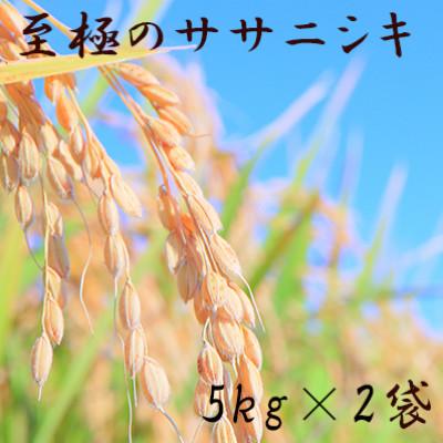 ふるさと納税 新庄市 令和8年　至極のササニシキ(精米)5kg×2袋