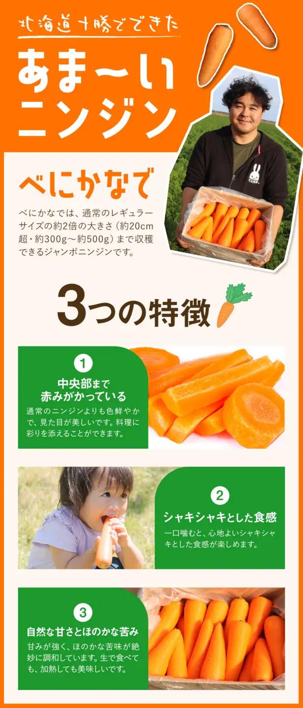 訳あり 甘い人参 浦幌べにかなで 2kg 北海道十勝産