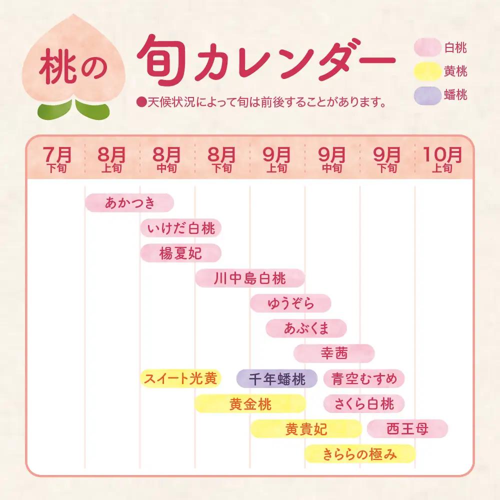 【2026年産先行予約】白桃(品種おまかせ)5kg 秀品 桃 白桃