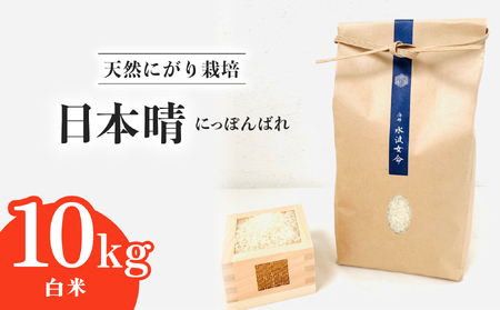 【先行予約】日本晴 白米 10kg 天然にがり栽培 にっぽんばれ 希少 品種 お寿司 ピラフ チャーハン【2025年9月以降発送】