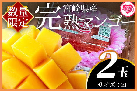＜【期間数量限定】2025年5月より順次発送 宮崎県産完熟マンゴー2L 2玉パック入り＞【MI232-yk-x1】【みまたんよかもん協同組合】マンゴー フルーツ デザート 甘い 果物 くだもの 季節限定 贅沢