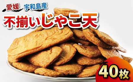 練物 訳あり 不揃い じゃこ天 40枚 中村かまぼこ店 じゃこ天 練り物 練物練物練物練物  じゃこ天 おつまみ C012-013005