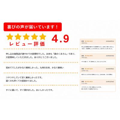 ふるさと納税 玉名市 熊本県玉名市産　森のくまさん 5kg |  | 01