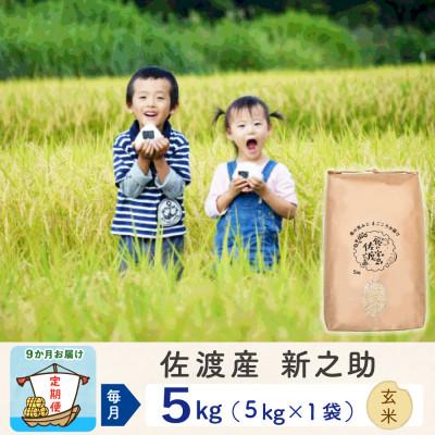 ふるさと納税 佐渡市 【毎月定期便】佐渡島産新之助 玄米5Kg全9回