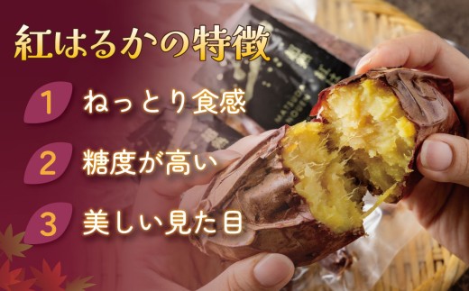 秋野菜の王様 さつまいも！