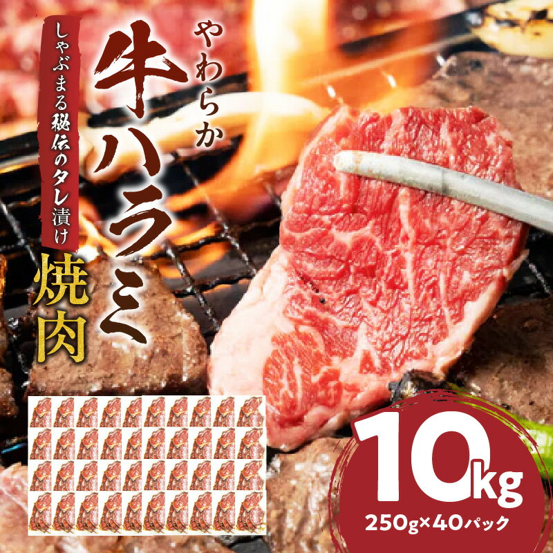 【ふるさと納税】1132-7　やわらか牛ハラミ焼肉 秘伝のタレ漬け10kg(250g×40P) 牛肉 焼肉 タレ 漬け 秘伝 柔らかい 味付き やきにく ハラミ 希少 小分け 厚切り 冷凍 BBQ バーベキュー 香川県 三木町 国産 おすすめ 送料無料