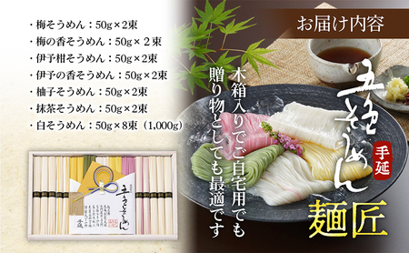 手延五色そうめん　麺匠 IT-M