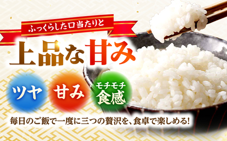 【2026年1月中旬より順次発送】福井県産 いちほまれ 300g×6個 2合 真空パック 小分け  / 白米 国産米 福井県 ブランド米 保存しやすい 小浜市 / シマダ農園[BFAV011]