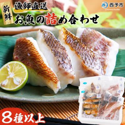 ふるさと納税 西予市 <漁師直送　新鮮お魚の詰め合わせ(愛媛県西予市明浜産)>　海産　魚介　食べ比べ